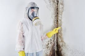 Biohazard Mold Removal in South Dennis, MA